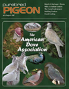 Variety of Dove breeds