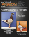 German Beauty Homer cover