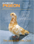 African Owl issue
