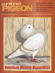 Mookee pigeons