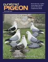 March/April 2010 Swallow feature