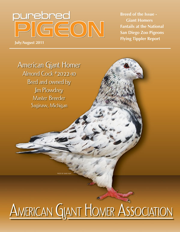 Pigeon Magazine Show Pigeons Performing Pigeons Racing Pigeons