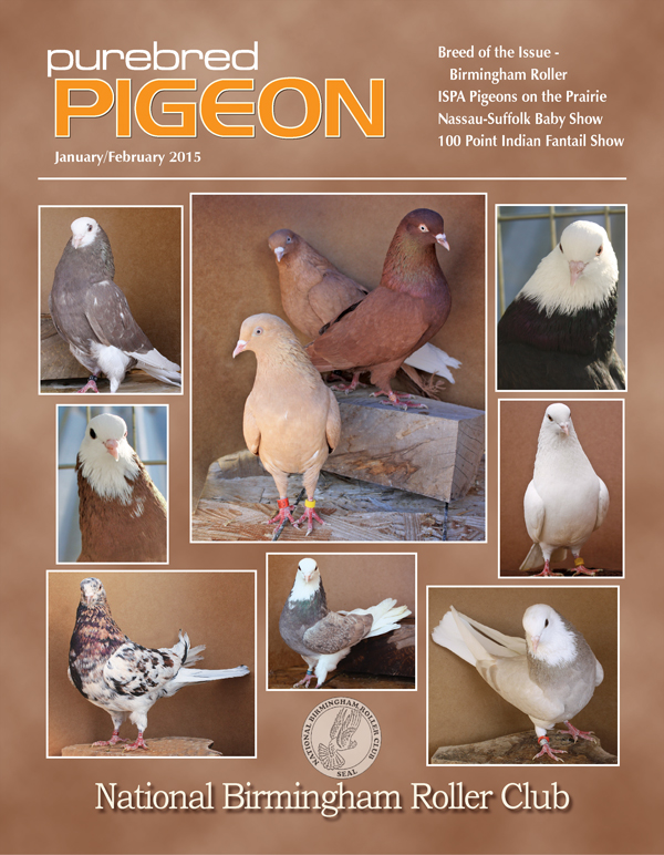 Pigeon Magazine Show Pigeons Performing Pigeons Racing Pigeons