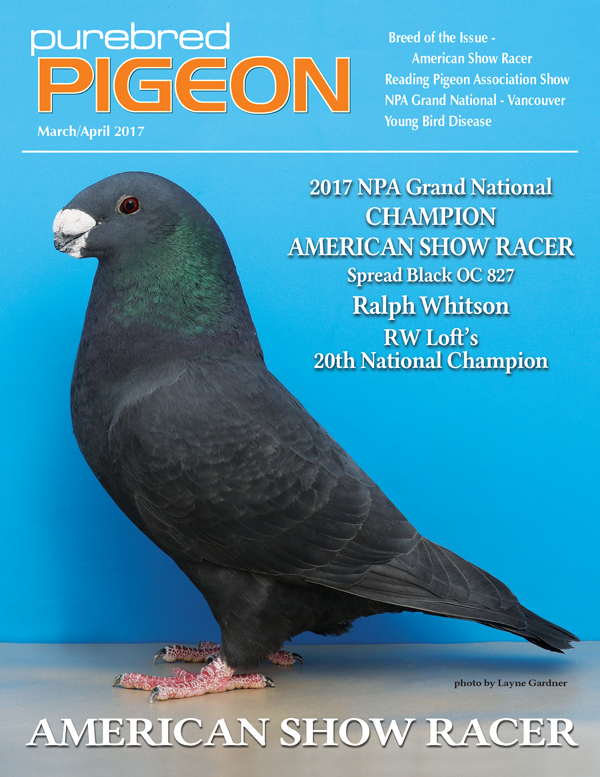 Pigeon Magazine Show Pigeons Performing Pigeons Racing Pigeons