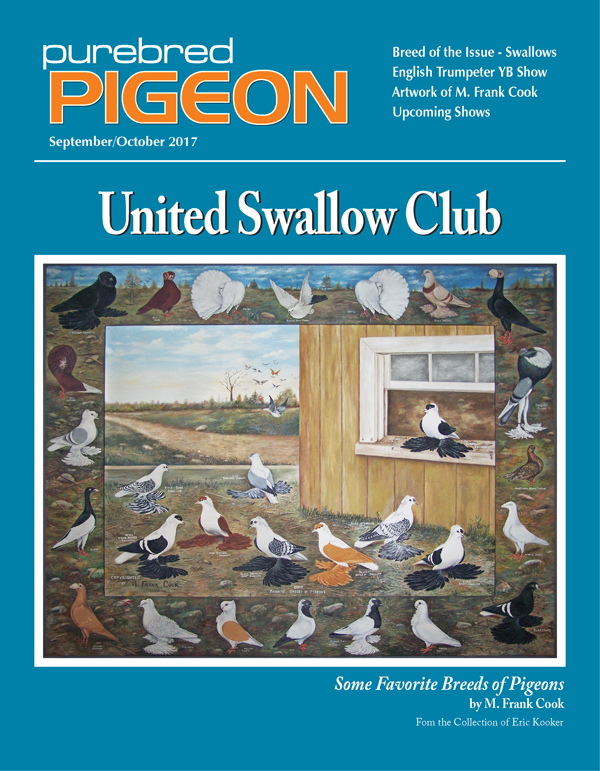 Pigeon Magazine Show Pigeons Performing Pigeons Racing Pigeons